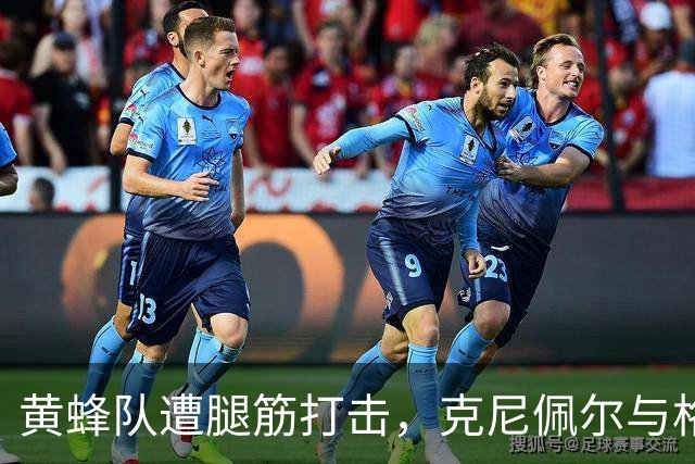 黄蜂队遭腿筋打击，克尼佩尔与格威季前赛请假